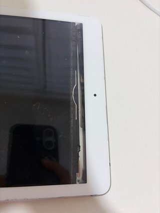 Apple iPad Blanco