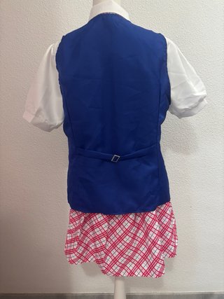 Disfraz Cosplay Princesa Anime Talla Única