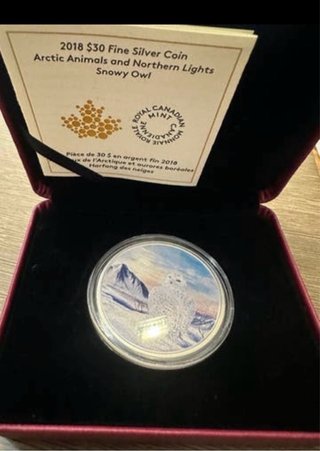 Moneda Plata Aurora Boreal Muy rara y bonita