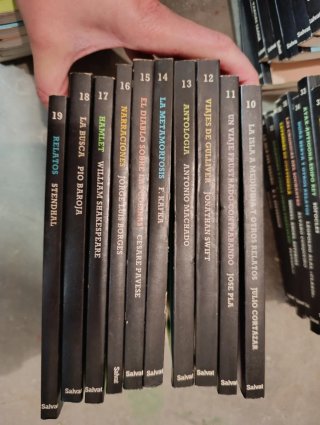 Lote Libros Biblioteca Básica Salvat