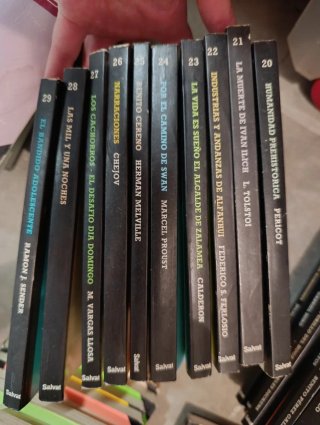 Lote Libros Biblioteca Básica Salvat