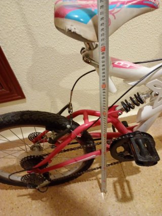Bicicleta infantil 20 pulgadas