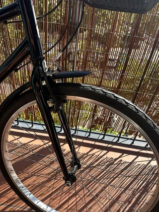 Bicicleta Riverside Negra con Cesta