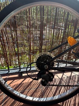 Bicicleta Riverside Negra con Cesta