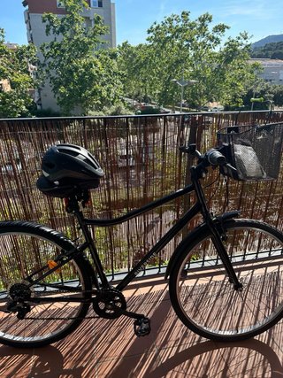 Bicicleta Riverside Negra con Cesta
