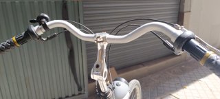 Bicicleta Holandesa Gris