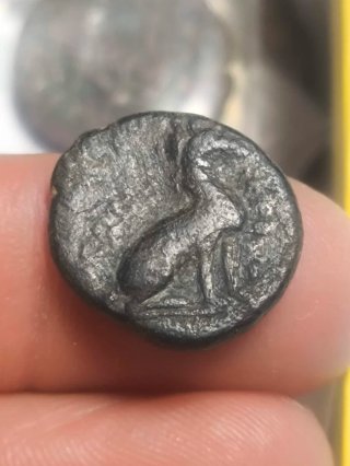 Moneda Griega Tracia Lysimacheia Antigua
