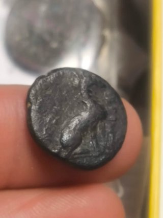 Moneda Griega Tracia Lysimacheia Antigua