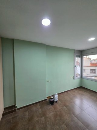 Pintor profesional