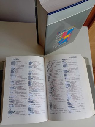 Diccionarios