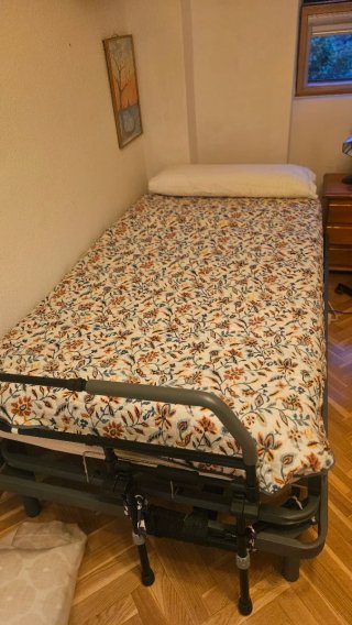 Cama Eléctrica Articulada