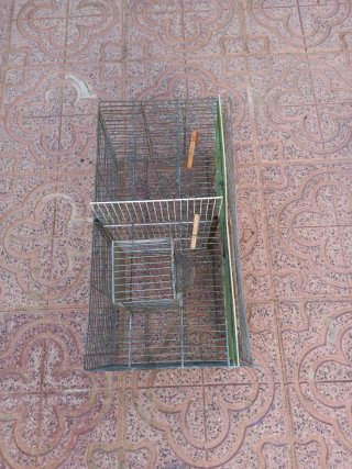 Jaulas para pájaros