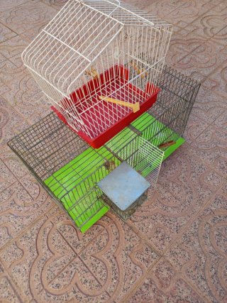 Jaulas para pájaros