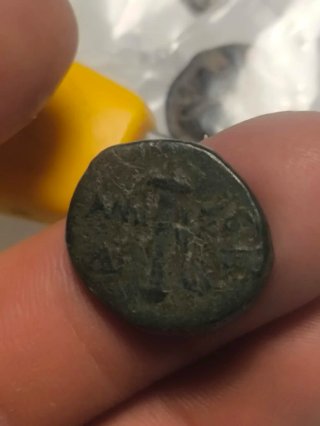 Moneda Griega Pontos Amisos Antigua
