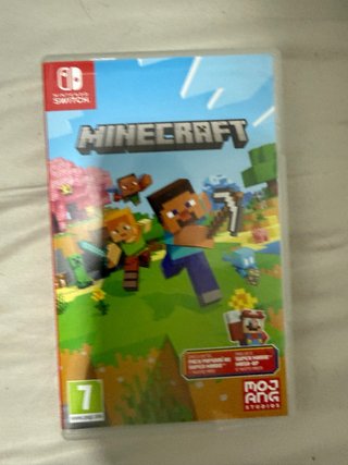 Minecraft Nintendo Switch