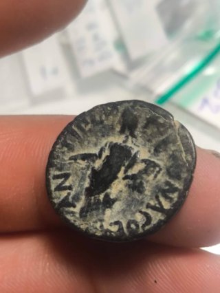 Moneda Romana Pisidia Antiochia Caracalla