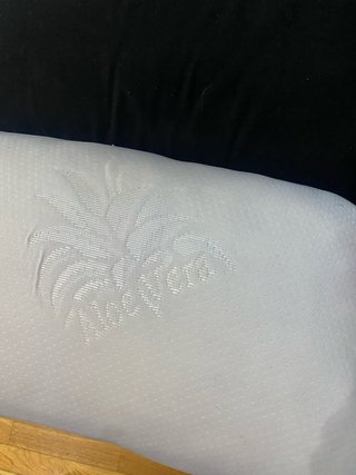 Almohadas Aloe Vera con Funda