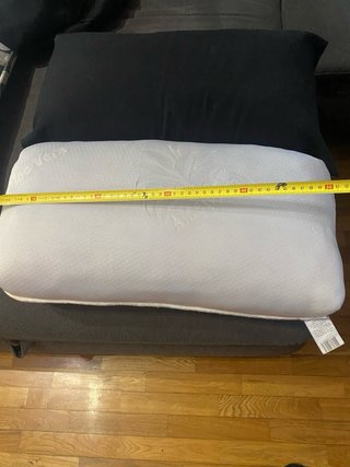 Almohadas Aloe Vera con Funda