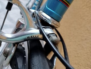 Bici Francesco Moser Vintage