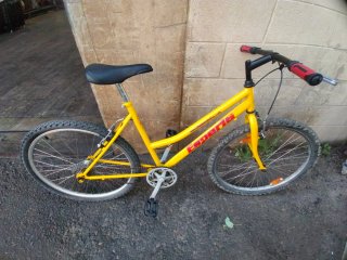 Bicicletta da donna gialla