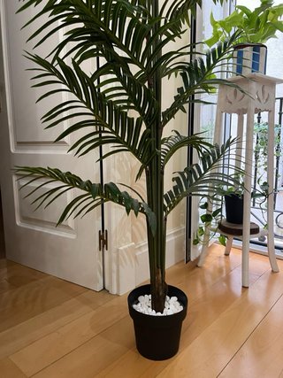 Planta Artificial Decorativa