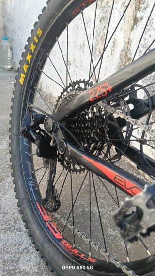 Bulls Evo3 RS Bicicleta Eléctrica Año 2016