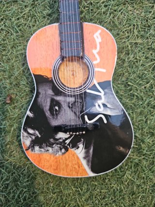 Miniatura Guitarra de Sabina
