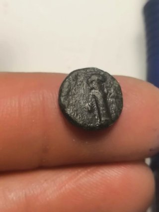 Moneda Griega Sestos Tracia Antigua