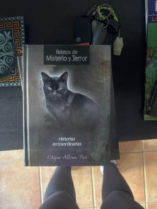 Lote de libros de terror
