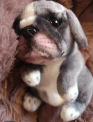 Peluche perro bebé