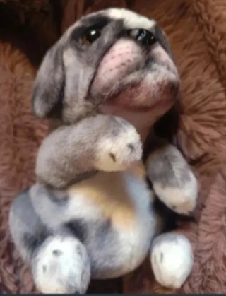 Peluche perro bebé