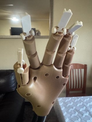 Mano Articulada para Prácticas Manicura