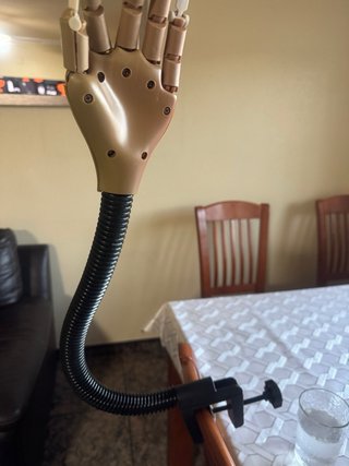 Mano Articulada para Prácticas Manicura