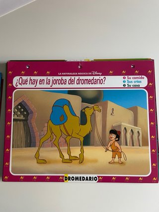 60 Tarjetas Disney Plastificadas
