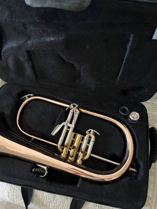 Estuche Thomann para fliscorno