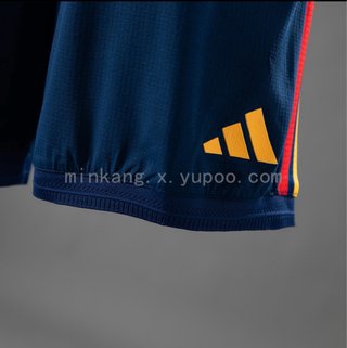 Pantalones de fútbol player version