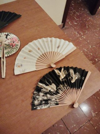 8 Abanicos Decorativos