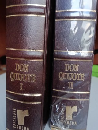 El ingenioso hidalgo Don Quijote de la Mancha