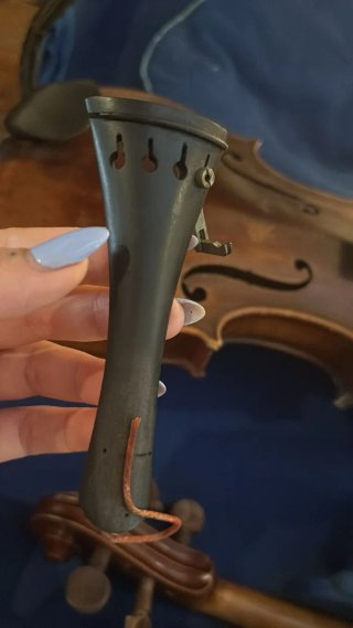 Duo di violini antichi in custodia