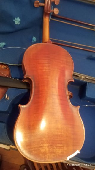 Duo di violini antichi in custodia