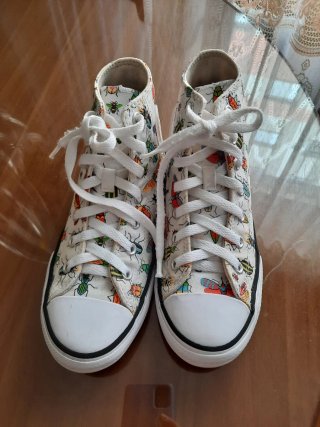 Converse Hi Top Estampado Bichos