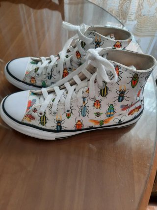 Converse Hi Top Estampado Bichos