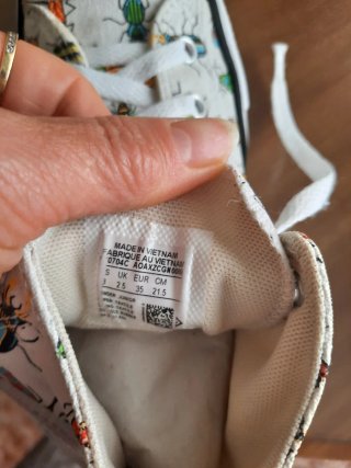 Converse Hi Top Estampado Bichos