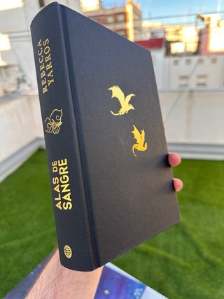 Libro alas de sangre (como nuevo)