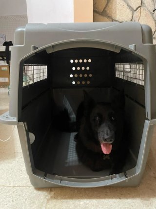 Guacal Petmate Sky Kennel XL 70-90 lbs.