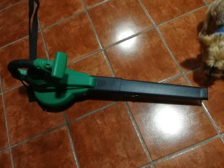 Soplador de hojas verde y negro