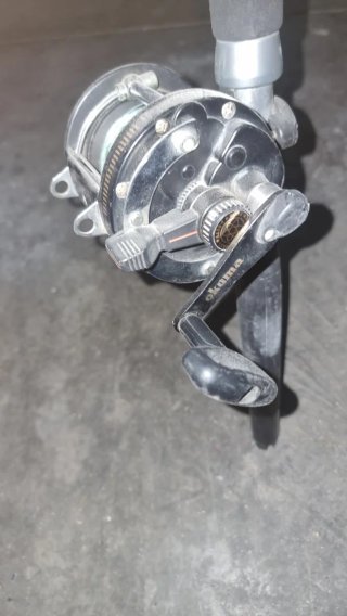 2 cañya de pescar con carrete