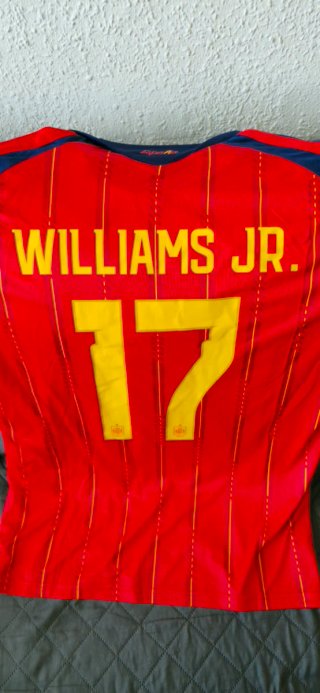 Camiseta España 17
