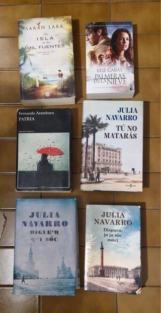 Lote de libros en muy buen estado