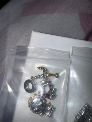 Charms plata pandora